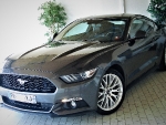 ford-mustang-fastback-alsace-1